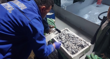 Giresun’da Hamsi Avcılığına 7/24 Denetim