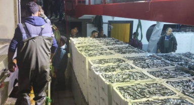 Giresun’da Hamsi Avında Sıkı Denetim: Gece Nöbeti Devam Ediyor!