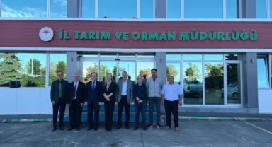 Giresun’da Kahverengi Kokarca’ya Karşı Bilinçli ve Etkili Mücadele