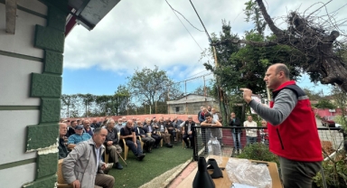 Giresun’da Kahverengi Tehlike Büyüyor! Kokarcaya Karşı Acil Eylem Planı Devrede