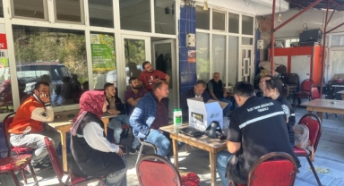 Giresun'da Kokarca Krizi! Fındık Üreticisi Sonbaharda Tehdit Altında