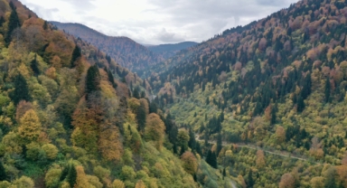 Giresun’da Renk Cümbüşü: Yaylalar Sonbaharın Tonlarına Boyandı
