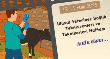 Giresun’da Sağlık Kahramanlarına Büyük Vefa! Müdür Yılmaz’dan Özel Kutlama