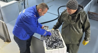 Giresun'da Sürdürülebilir Balıkçılık İçin Hamsi Avında Sıkı Denetim