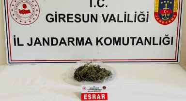 Giresun’da Uyuşturucuya Geçit Yok!