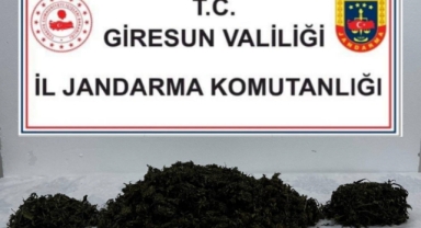 Giresun’da Uyuşturucuya Geçit Yok!