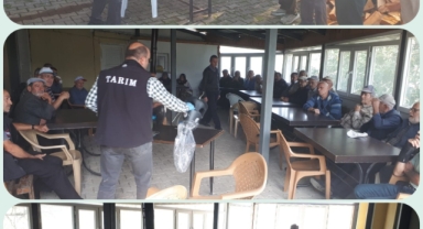 Giresun Espiye’de Kahverengi Kokarca Alarmı! Üreticilere Kritik Uyarı