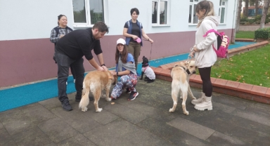 Giresun İl Tarım ve Orman Müdürlüğü'nden Uyarı: Mikroçip İçin Geri Sayım Başladı!