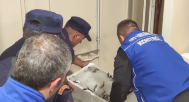 Giresun Sahillerinde Sıkı Denetim! Küçük Balığa Büyük Ceza