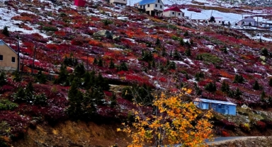 Giresun Sınırlarındaki O Yayla, Sonbahar Renklerine Büründü