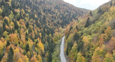 Giresun'un Doğal Mirası, Sonbahar Renkleriyle Büyüledi
