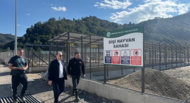 Giresun Valisi Serdengeçti'den Çifte Ziyaret: Çalışmalara Yerinde İnceleme