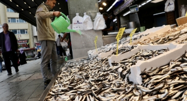 Hamsi ve istavritin kilogramı 100 liradan satılıyor