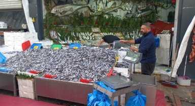 Hamsiye Gün Doğdu: Balık Tezgahları Şenlendi