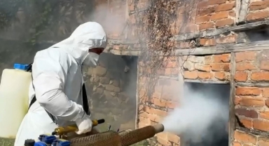 Kahverengi Kokarca İçin Seferberlik: 1 Milyon Hanede Etkin Mücadele!