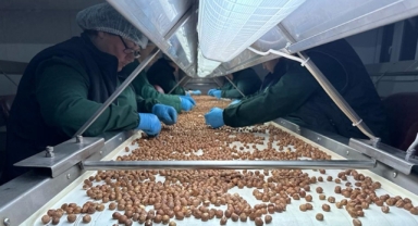 Karadeniz’in Altını Yine Kasaları Doldurdu! 