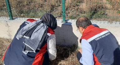 Karadeniz’in korkulu rüyası o kentte de  görüldü!