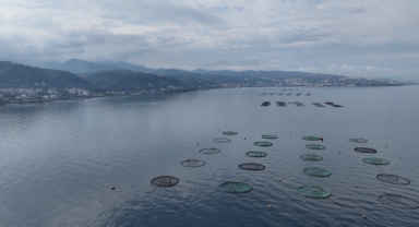 Karadeniz su ürünleri ihracatından 9 ayda 278,7 milyon dolar kazandı