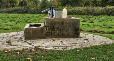 Korkunç Olay: Genç Kızın Cesedi Su Kuyusunda Bulundu