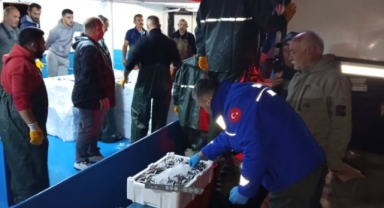 Kural Dışı Avcılığa Geçit Yok! Görele Limanı’nda Gece Boyunca Hamsi Nöbeti