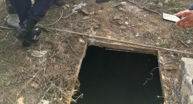 Nar toplamak isterken canından oluyordu!