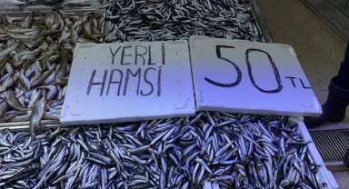 O kentte hamsi fiyatları yarıya düştü