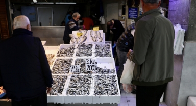 O kentte hamsinin kilogramı 75 liradan satılıyor