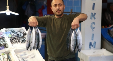 Palamut Tezgahlarda Yerini Aldı