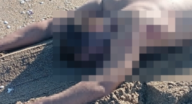 Sahilde çıplak erkek cesedi bulundu