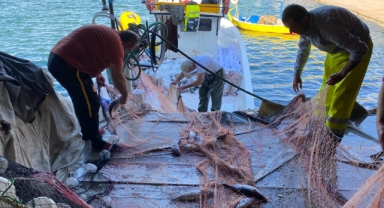 Sinop'ta bir balıkçının ağına 3 bin palamut takıldı