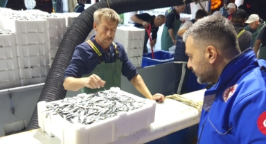 Su Ürünleri Ekipleri Görele’de Gece Boyu Görev Başında! Hamsi Kotası Sıfır Hata