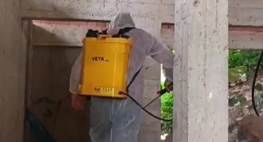 Tarım Ekipleri Sahada: Giresun'da Kahverengi Kokarcaya Karşı Seferberlik