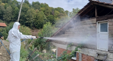 Tarımın düşmanı ile mücadele sürüyor