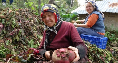 Tarladan Sofraya… Giresun'un Köylerinde Kışa Hazırlık Seferberliği