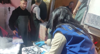 Tekneler Mercek Altında: Tirebolu’da Hamsi Avına Sıkı Takip