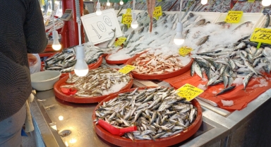 Tezgahlarda Hamsi Bereketi: Fiyatlar 3 Günde 300'den 100 Liraya Geriledi