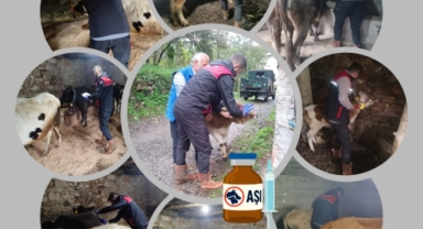 Tirebolu’da Ekipler Köy Köy Geziyor!