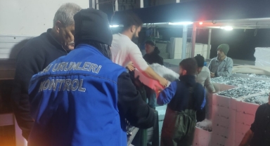 Tirebolu’da Gece Mesaisi: Hamsi Avına Kota Denetimi