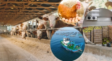 TKDK Giresun Duyurdu: IPARD III Programı 10. Başvuru Çağrısı Güncellendi