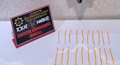 Uyuşturucu operasyonu: 500 içimlik bonzai ele geçirildi