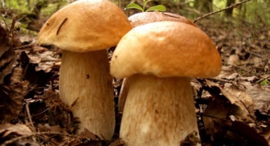 Uzmanından kritik uyarı: 