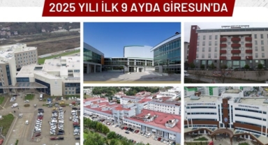 Veriler Açıklandı: Giresun’da Hangi Hastanede Kaç Kişi Muayene Oldu?