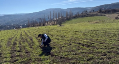 Alucra’da Tarımda Sürdürülebilirlik İçin Yerinde İnceleme