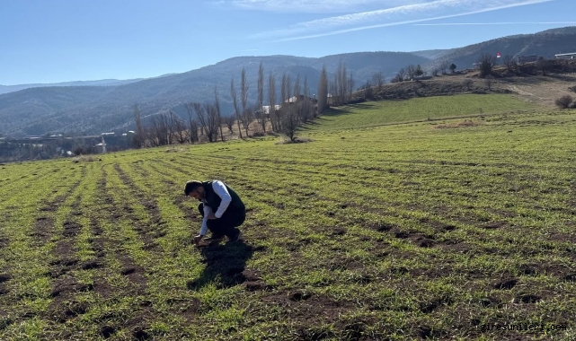 Alucra’da Tarımda Sürdürülebilirlik İçin Yerinde İnceleme