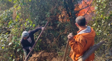 Artvin'de Orman Yangını: 5 Hektar Alan Zarar Gördü