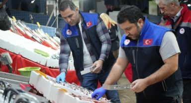 Balık tezgahlarına yakın markaj: 109 kişi ve işletmeye 2,5 milyon TL ceza