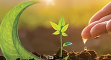 Bulancak BATEM’den Doğaya Can, Geleceğe Umut