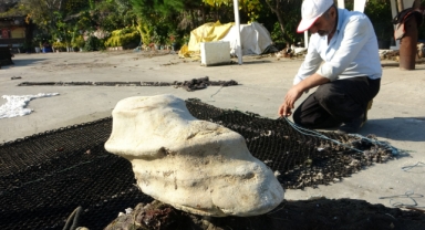 Bulancak'ta denizde bulunan cisim balıkçıları şaşırttı!