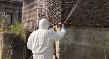 Ekipler Çanakçı’da Sahada: Zararlıya Karşı Seferberlik