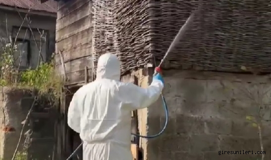 Ekipler Çanakçı’da Sahada: Zararlıya Karşı Seferberlik